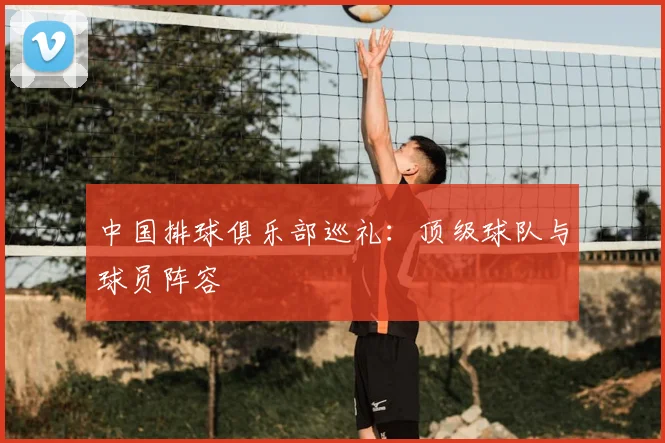 中国排球俱乐部巡礼:顶级球队与球员阵容